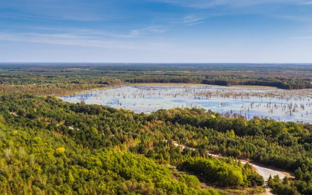 Aerial photo of Black Bayou National Wildlife Refuge