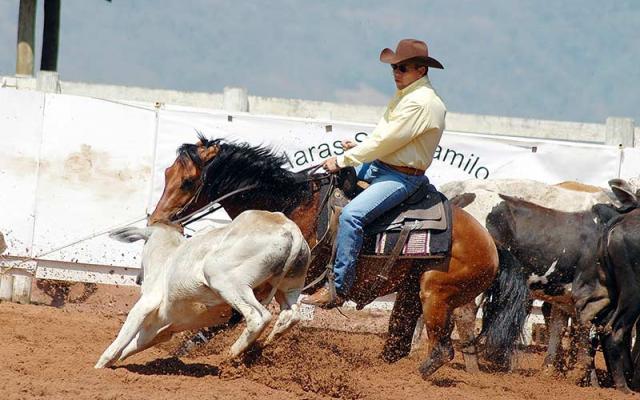 Photo of a rodeo calf-roper on horseback during competition